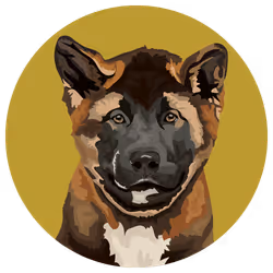 54766349128176429303044182404049584425310907481653304317570413825379216130049