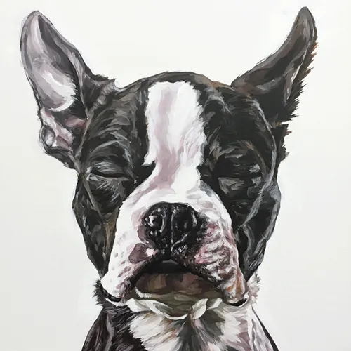 Item #111426397768687495074212779570464875826872703160422642189858348534300086894593 Media