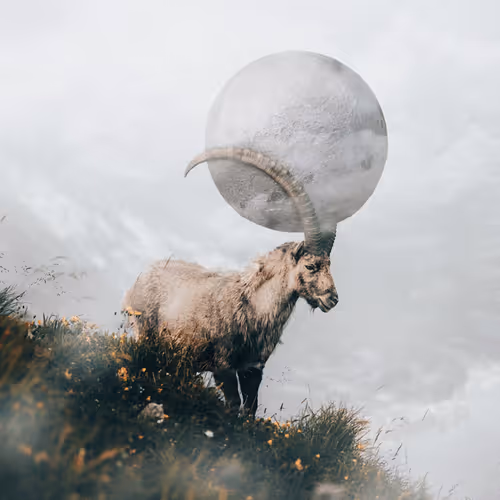 Photomanipulatiions