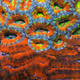34402420190363476223762036507121857313391248273479157970896455712765491806209