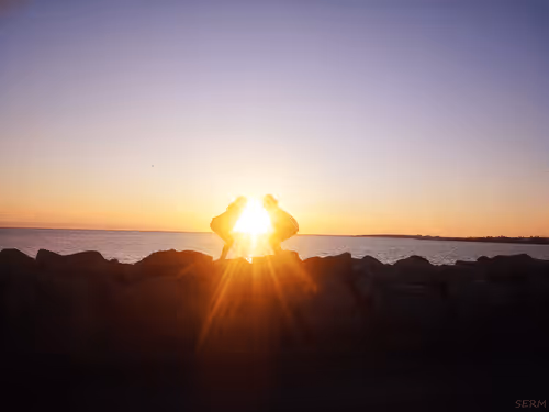 Untitled Collection #113624327