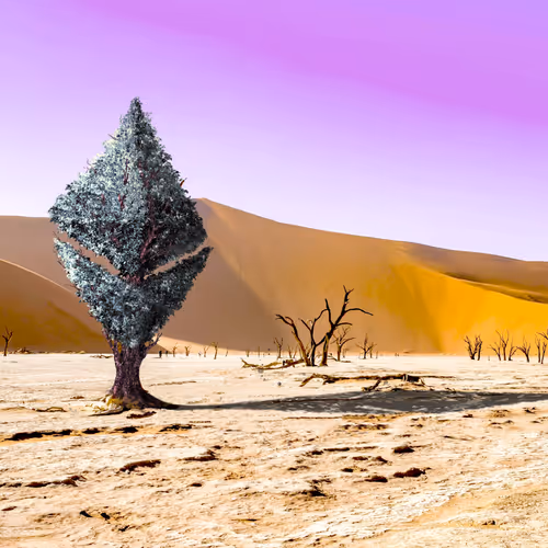 Item #42261852004236152846491857941175145745935094244618356897231337579988236894209 Media