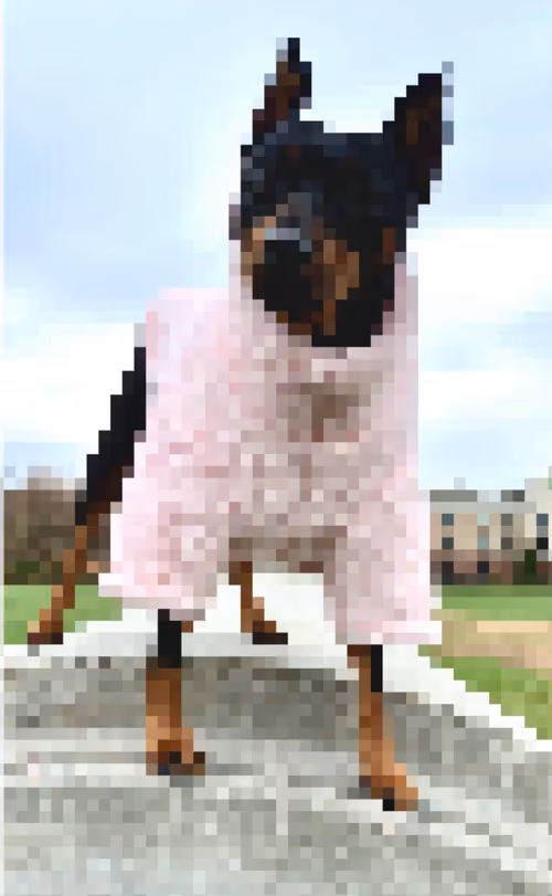 Item #91949707330160320136515942524554217330844690778705415103136322558662902022145 Media