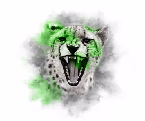 Item #59088353916634911645199901135540098457890710800918991321684793776693300953119 Media