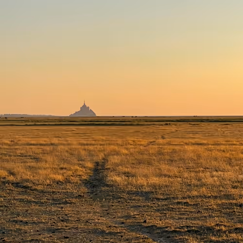 Untitled Collection #3706166782