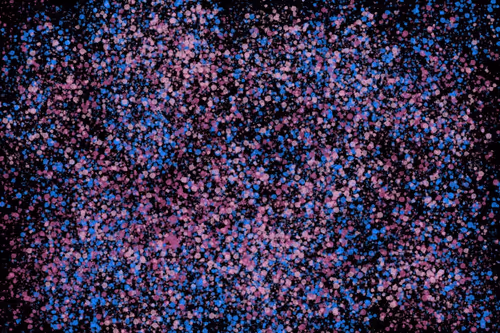 Item #944858660688572096584618472555991747686703840338442188877309595062942826497 Media