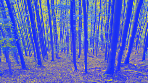 Item #81311623154221304056404739507170303613428233805736578014873159303782599753729 Media