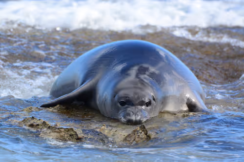 Item #82668664347853387025205030792162106913974488761724448252059371127982958575617 Media