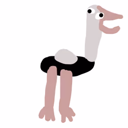 Ostrich
