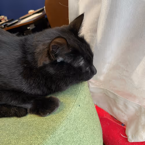 57432309319676179700798702069366385585354272226932054472084541777008148873217