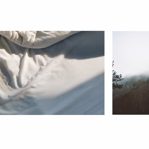 109162157552346088047496633038404394118504199992061596446112929491880477982721