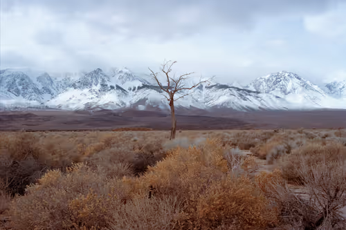 Item #49421393432894499121215694470303184244096795482679490930709574098050609053697 Media