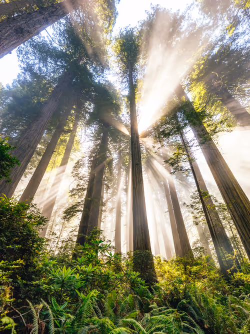 Item #99379921276153973634104125152908526548510783699959858376338453568907034755073 Media