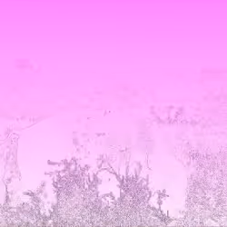 105089968166921690156624725616502706642431777719922472152070405735956430716929