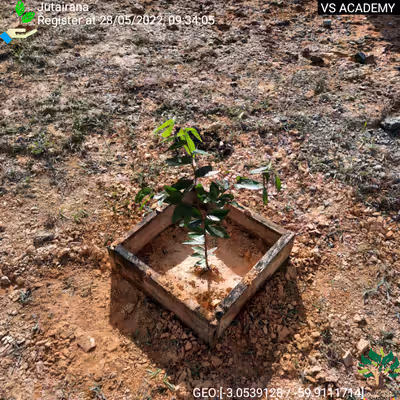 Item #8500196597889277390194123329501889087166328879864934763448348781934872100865 Media