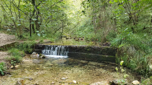 Item #41710495051253728513417233930932535486620982001984973039439061922811721285633 Media