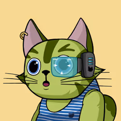 Michi Cat #0339