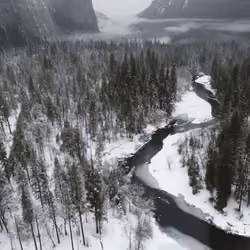 Yosemite 26