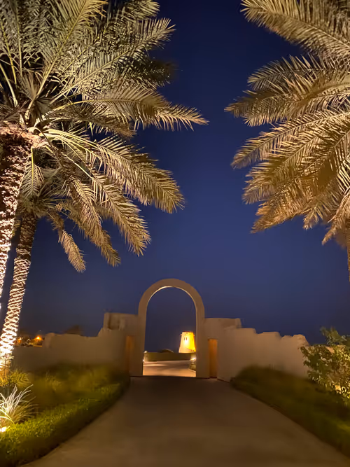 Item #68152492232920701339434713798111598292812104746675301332410838659351762173953 Media