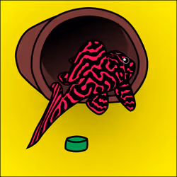 81664083123670143983968740139941474364733981378414170565535210602141832970241