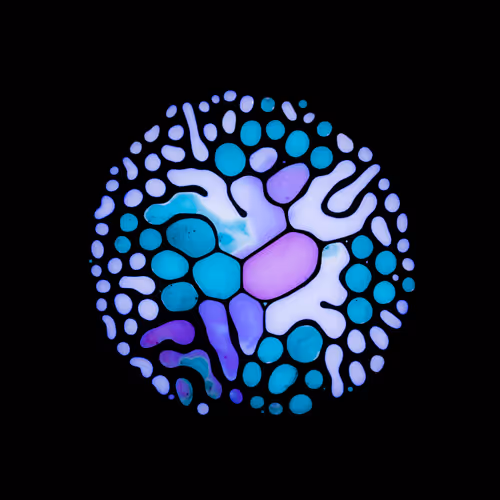 Haematopoiesis