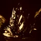 Sacred   Shard