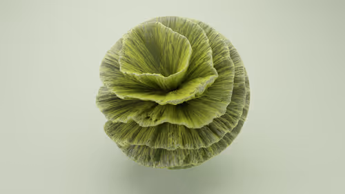 Item #54162300568103725826343189831171959365021078669884134013916714356450214805505 Media