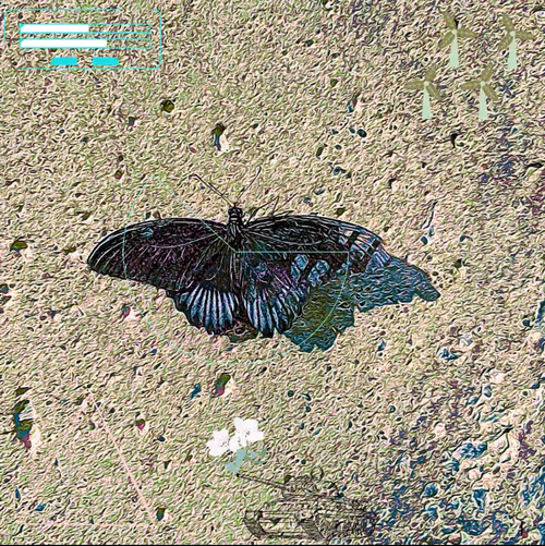 Item #65350531189312466719965629878300611675619064901309659795896823169579569119233 Media