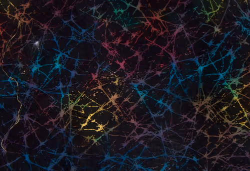 Item #23953230745994406582939997092897091351371610828269103110916008683259239071745 Media