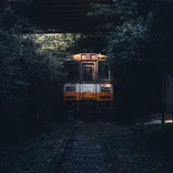 The Forgotten Train
