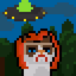 Grumpy Cat Does Not Want To Believe