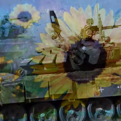 Seeds of Peace