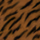 74272046269289979986184519623258816908375400056648172267741263049892869177345
