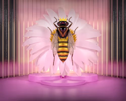 Item #25268332393812692660975676637662703943045066899124411616705996273652319911937 Media