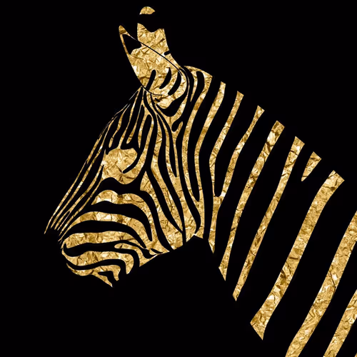 The GOLD zebra from ArtByAlzan