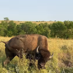 105089968166921690156624725616502706642431777719922472152070405779936895827969