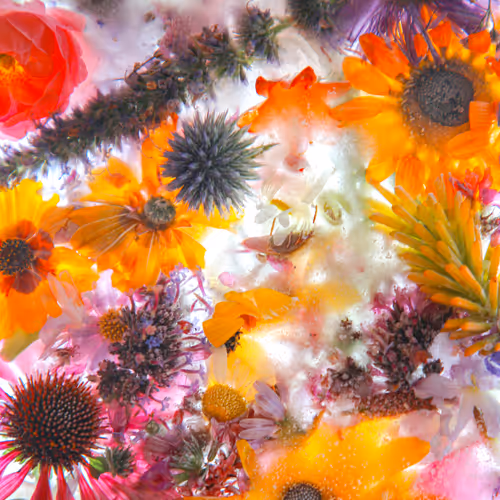 Item #80829721372825377784010953381890255518558028243098186913878117658594943959041 Media