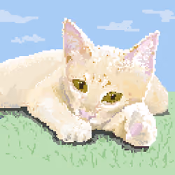 Miwa the kitten(1/1)