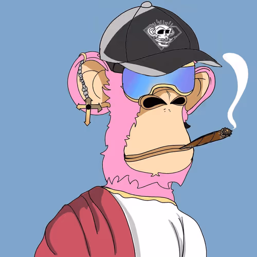 Untitled Collection #1574107