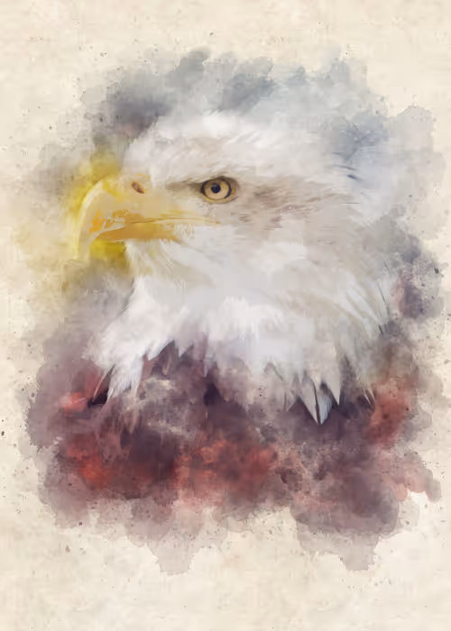 Item #15014501094177266764276721167416670682863278571620639160817117499362293841921 Media