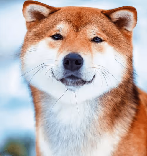 Item #34470142884482375674331152583341387110725961593908059002011227356433873895524 Media