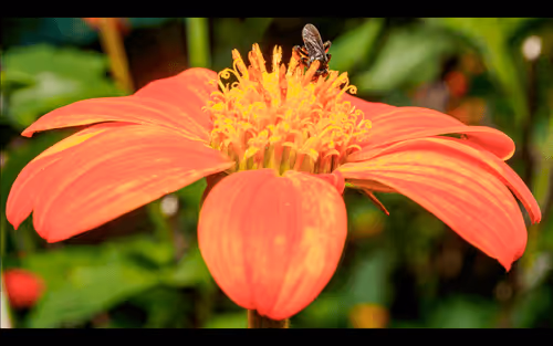 Item #112000724350228495474711911108130364376243231564197861893917055823166570506 Media