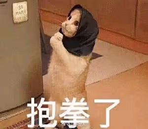 qqq80