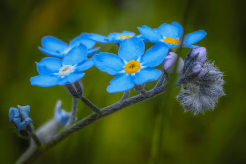 Item #6505089431552554568137386774614394979265528746054988378978093554416450797569 Media