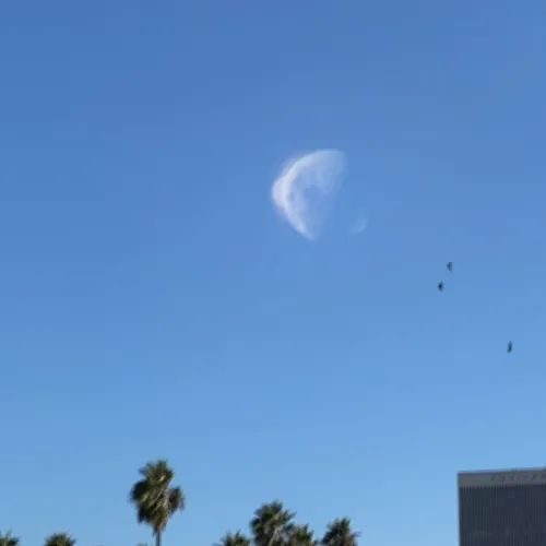 Item #98084985093311109518342582067253511479523580183697925726821261006419620003841 Media