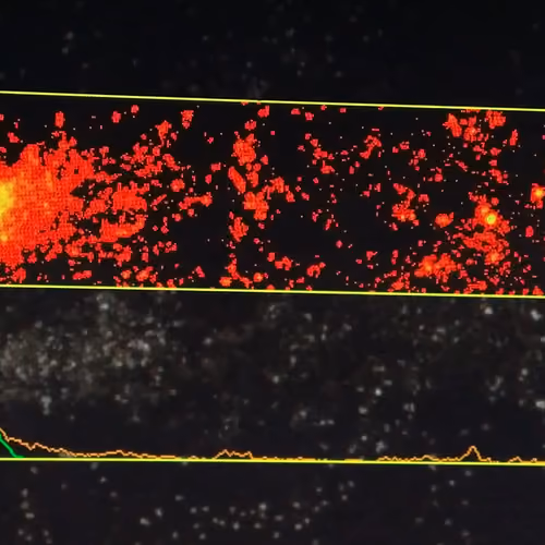 Cell Stardust