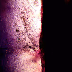 71646257518770613568983710813551014237803002136866425209291834772862470717441