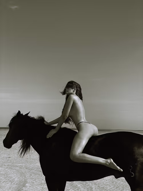 Item #10311560237288479791245027674378898479116131956774636101046368718478462943233 Media