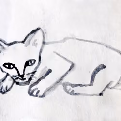 The Doppelgängers - Moody girl's cat