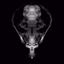 85859191866638808365331437874953228966785819470149775310971061712304482549761